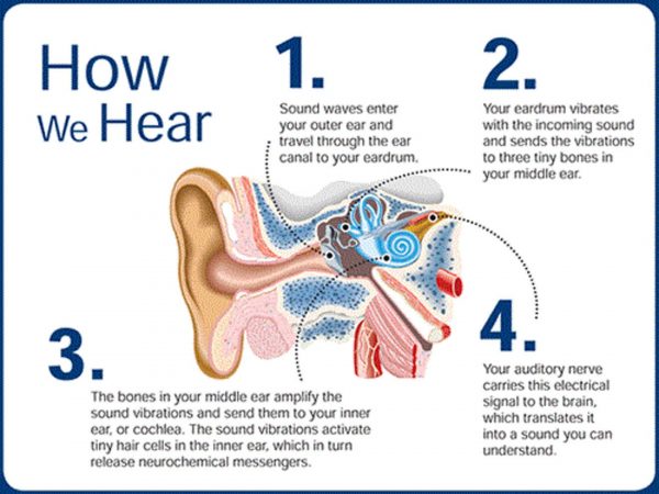 How Hearing Works? How Hearing Works?