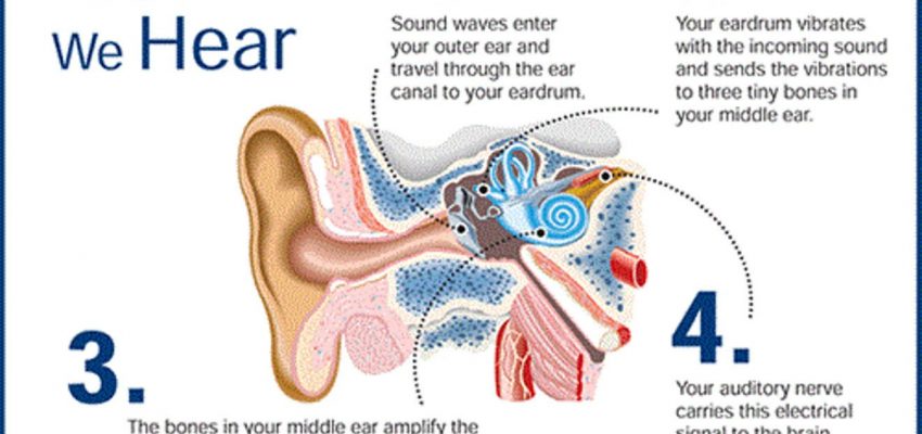 How Hearing Works?